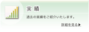 実績