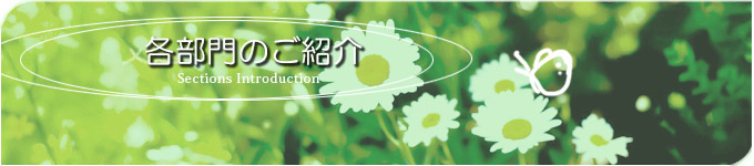 その他部門