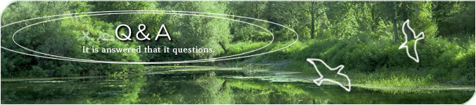 Q&A